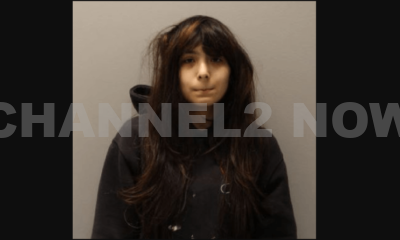 Des Plaines, IL – An 18-year-old woman from Des Plaines is facing felony charges after allegedly posting a TikTok video threatening a shooting at her former North Elementary School. Esmeralda Vargas was charged with disorderly conduct after authorities were alerted to the threat by the SS-ARS Crisis Center, an organization that tracks tips regarding potential school shooters.