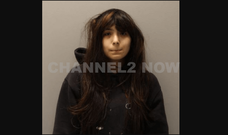 Des Plaines, IL – An 18-year-old woman from Des Plaines is facing felony charges after allegedly posting a TikTok video threatening a shooting at her former North Elementary School. Esmeralda Vargas was charged with disorderly conduct after authorities were alerted to the threat by the SS-ARS Crisis Center, an organization that tracks tips regarding potential school shooters.