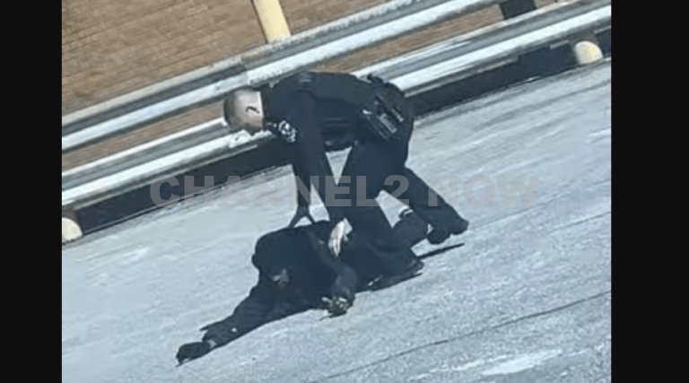 3 killed in shooting outside Louisville DMV branch