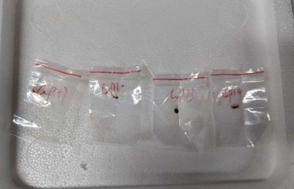 DETROIT – Federal authorities have charged two citizens of the People’s Republic of China, Yunqing Jian, 33, and Zunyong Liu, 34, in connection with an alleged scheme to smuggle a dangerous biological agent into the United States. 