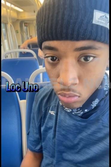 This is the suspect who was arrested in connection to West Valley City festival shooting
