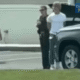 KILL DEVIL HILLS, N.C. — Authorities have identified Henry Hargis, a student at First Flight High School, as the suspect in a deadly shooting that took place Thursday afternoon, July 31, in the parking lot of the Avalon Fishing Pier in Kill Devil Hills.