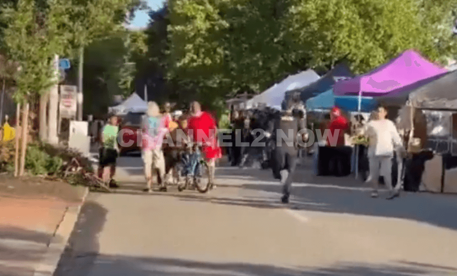 Person drove vehicle into pedestrians at Kipona Festival in Harrisburg, Pennsylvania