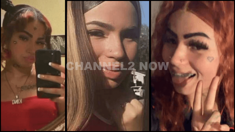 17-year-old Gabriella Arellano found shot to death in East Side alley 11000 block of South Mackinaw Avenue Chicago