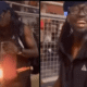 25-Year-Old Adrian Scott Arrested and Charged in Connection with July Bomb and Arson Investigation Promoting Civil Disorder Armed Criminal Action