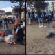 Graphic video shows several people dead after mass shooting during Hanukkah event at Bondi Beach in Sydney