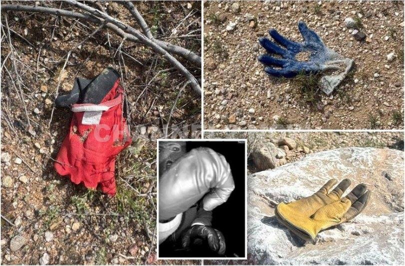 Regarding physical evidence, gloves discovered approximately two miles from the Guthrie residence — located in a field near the roadside — were collected and packaged by the Pima County Sheriff’s Office. 