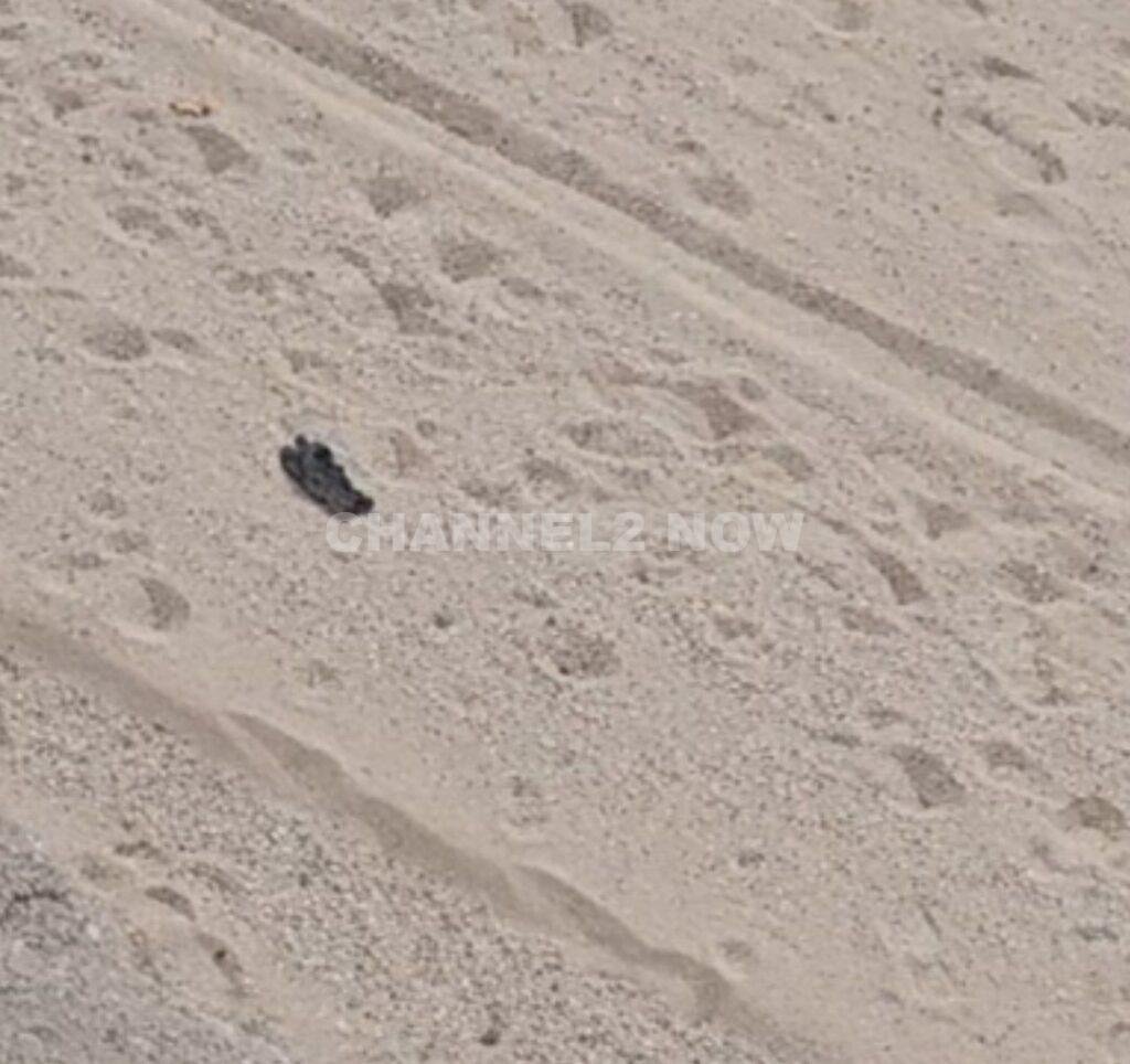 Regarding physical evidence, gloves discovered approximately two miles from the Guthrie residence โ located in a field near the roadside โ were collected and packaged by the Pima County Sheriffโs Office.