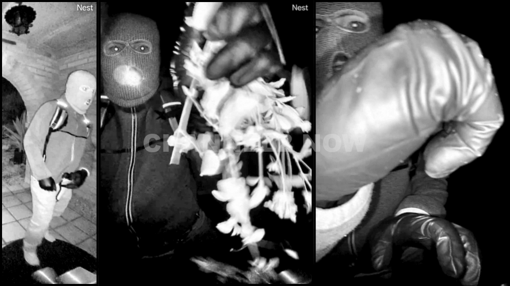 FBI releases video of suspect in Nancy Guthrie disappearance