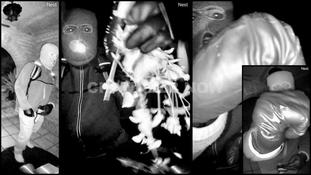 Photos of person of interest in Nancy Guthrie disappearance case released daughter, Savannah Guthrie