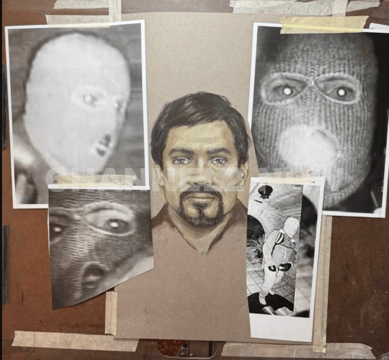 A forensic sketch artist, Lois Gibson of Houston, later shared an interpretive sketch based on the limited visible facial features. Gibson stated that only the eyes and portions of the lips and mustache area could be partially inferred from the footage.
