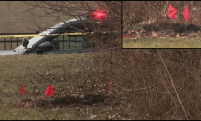Two Young Black Girls Found Inside Separate Suitcases Buried in Shallow Graves in Cleveland near East 162nd Street and Midland Avenue Ginn Academy