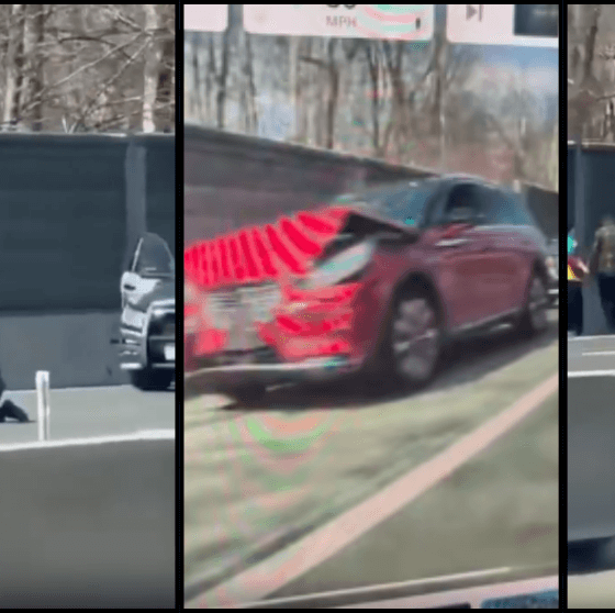 Woman and Dog Killed, Three Others Injured in Road Rage Stabbing on I-495, Suspect Fatally Shot by Police Little River Turnpike ANNANDALE, Va. Fairfax County