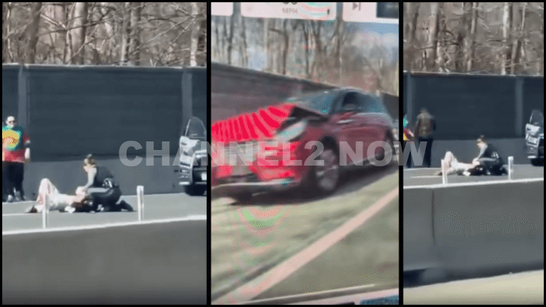 Woman and Dog Killed, Three Others Injured in Road Rage Stabbing on I ...
