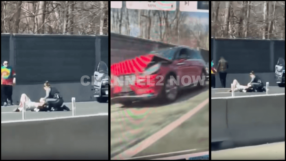 Woman and Dog Killed, Three Others Injured in Road Rage Stabbing on I-495, Suspect Fatally Shot by Police Little River Turnpike ANNANDALE, Va. Fairfax County