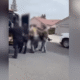 Tulare County Deputy Killed in Shooting During Eviction Service, suspect David Morales at Large 1700 block of West Brian Avenue, near Newcomb Street and Grand Avenue