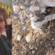 Human Bone Found Near Nancy Guthrie’s Home Not Connected to Her disappearance