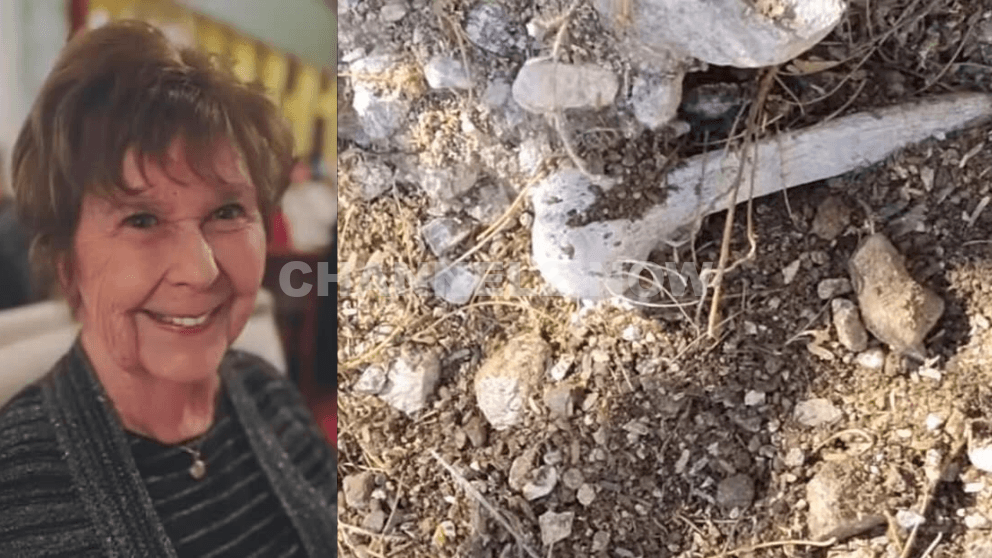 Human Bone Found Near Nancy Guthrie’s Home Not Connected to Her disappearance