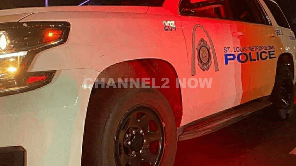 Five Family Members Killed, Two Critically Injured in East St. Louis Shooting, Two Teen Suspects in Custody Jones Park