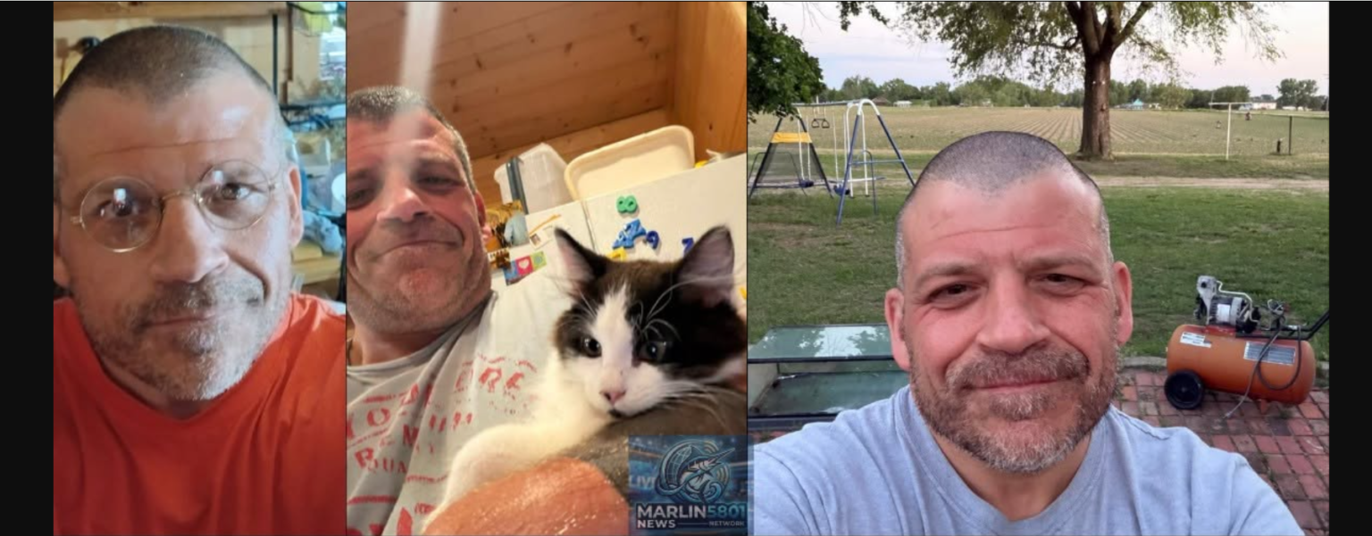 Colorado Plane Crash: Father Mark Hendrickson and Two Sons Killed Near ...